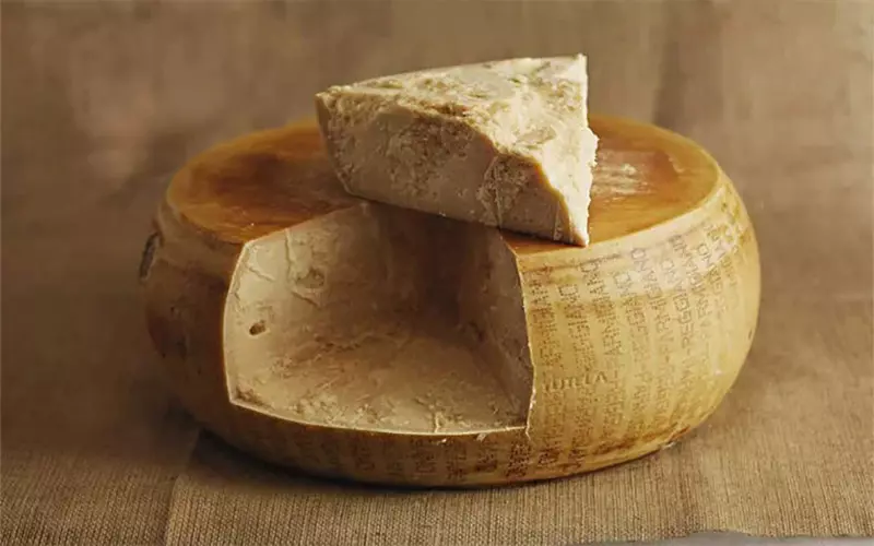 پنیر پارمسان