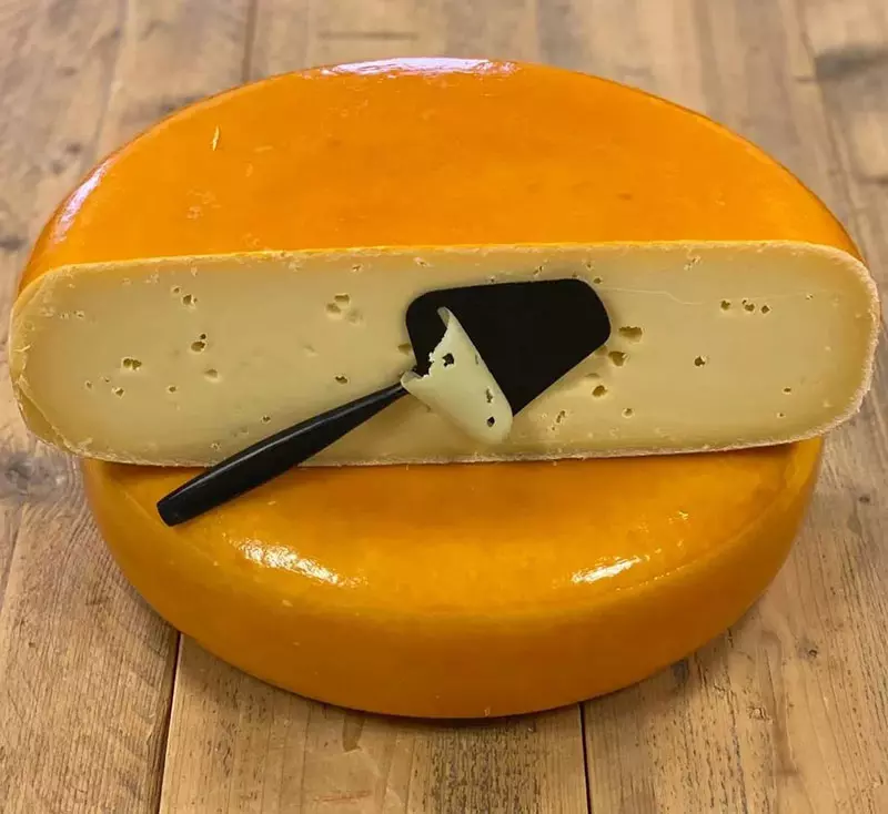 پنیر گودا