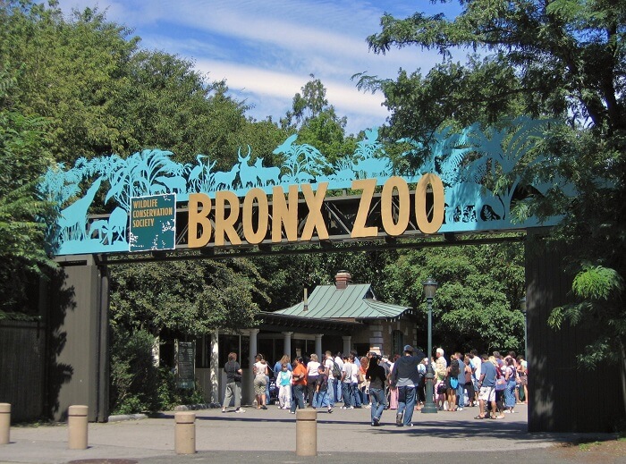 باغ وحش برانکس، نیویورک