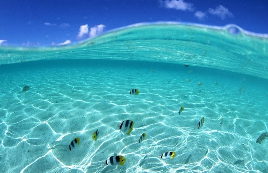 آب عمق دریا، هاوایی